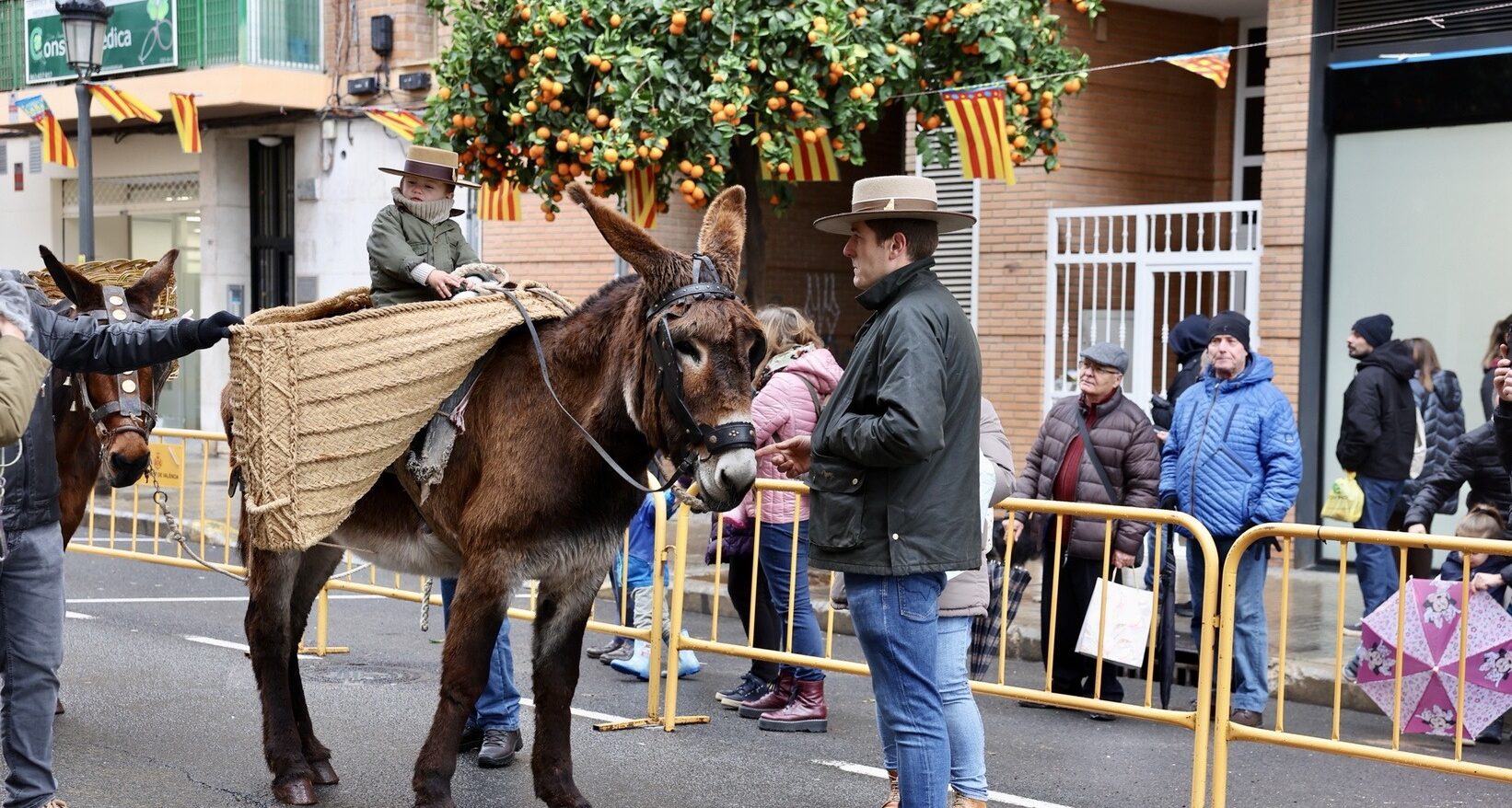 Premios Sant Antoni Abat de Bienestar Animal